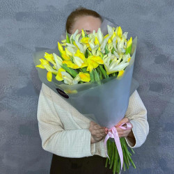 33 желтых ирисов